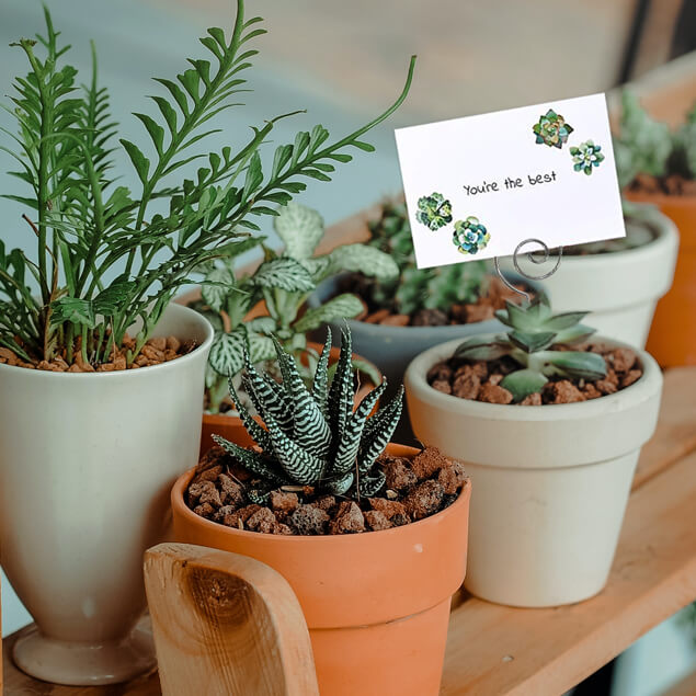 Floral Plant Card Holders Picks Silver Wire Hohiya